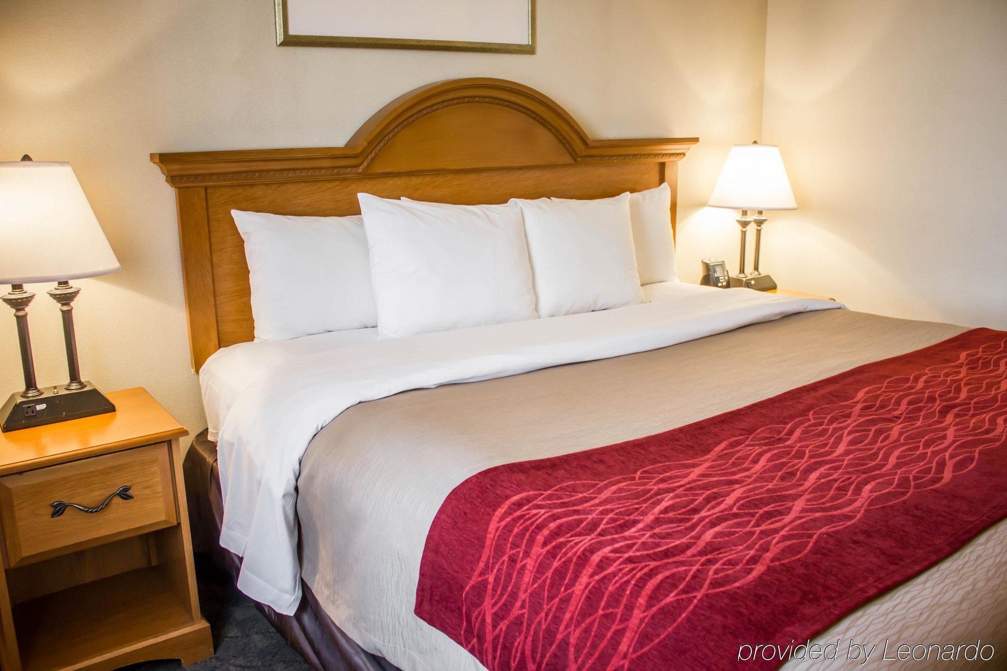 Comfort Inn Jfk Airport 뉴욕 외부 사진