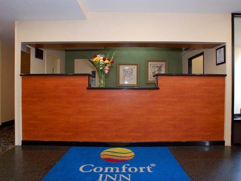 Comfort Inn Jfk Airport 뉴욕 외부 사진